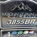 2019 Montana