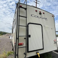 2019 Cougar