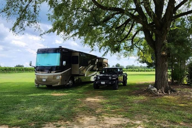 2017 Other ALLEGRO RED 38QBA