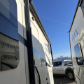 2014 Silverback