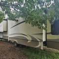 2019 Montana