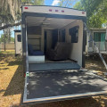 2019 Springdale