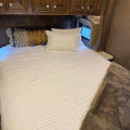 2017 Palazzo