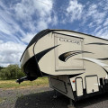 2019 Cougar