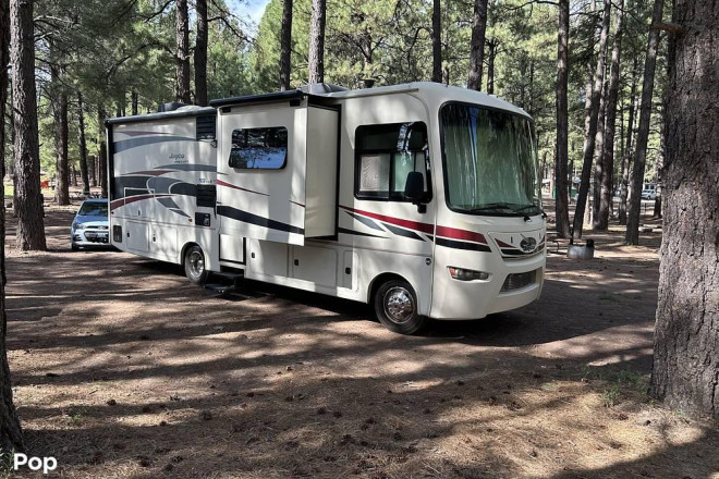2017 Precept 31UL