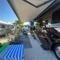 2019 Palazzo