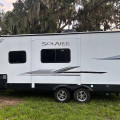 2022 Palomino