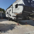 2019 Talon