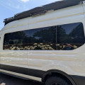2017 Transit
