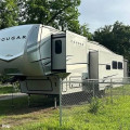 2023 Cougar