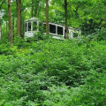 2022 Cottage