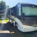 2014 Solei