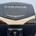 2019 Cougar