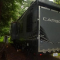2020 Carbon