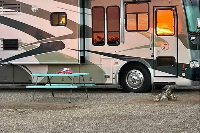 2004 Allegro Bus 38TGP
