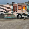 2004 Allegro Bus