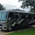 2019 Bay Star