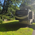 2019 Cougar