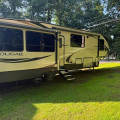 2019 Cougar