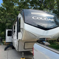 2020 Cougar