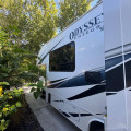2024 Odyssey