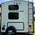 2022 Cougar